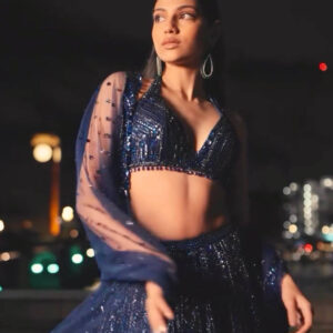 The Ethereal Sequined Net Lehenga Set