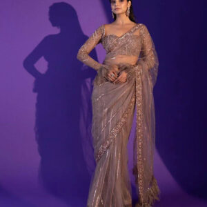 Champagne Net Sequence Work Saree with Jhalar Border
