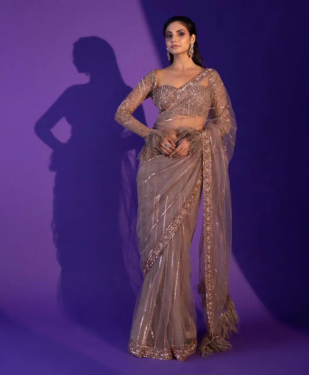 Champagne Net Sequence Work Saree with Jhalar Border